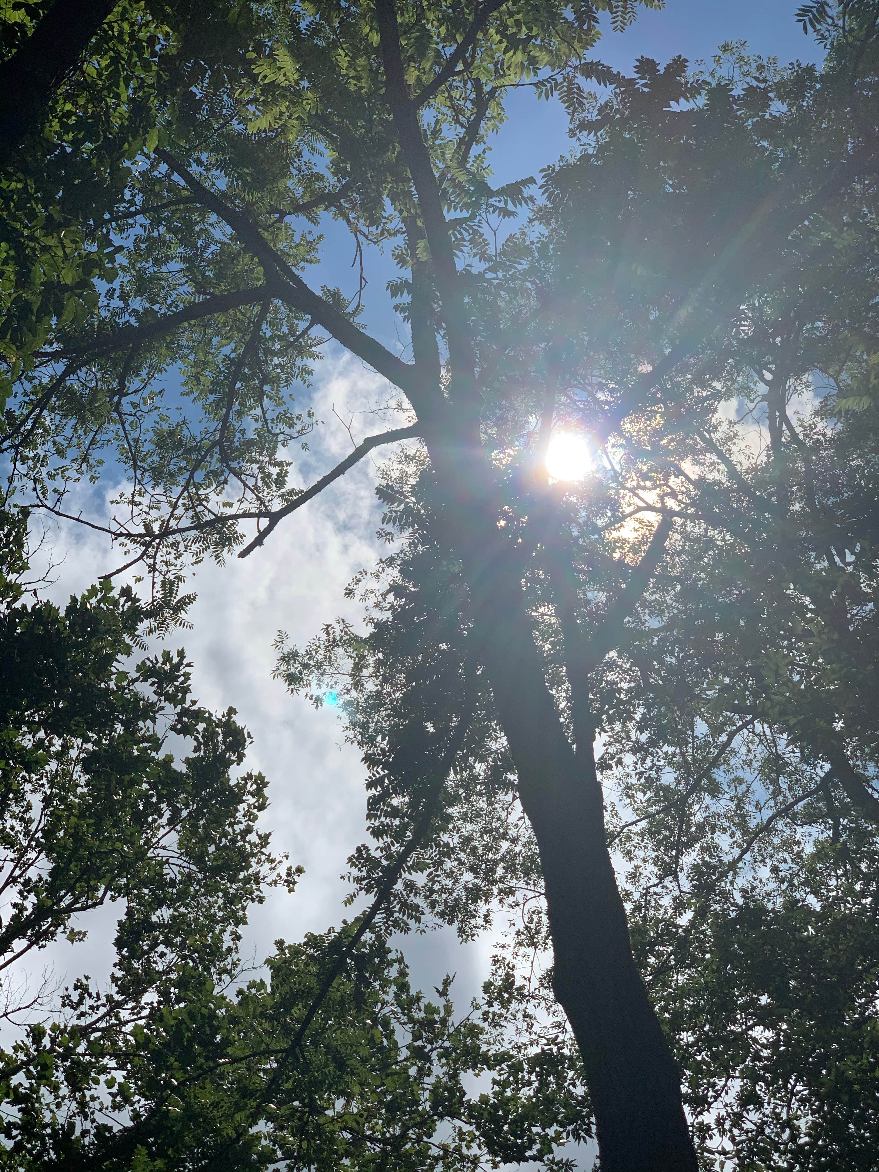 Camper-submitted photo at Up the Creek RV Camp near Townsend, TN