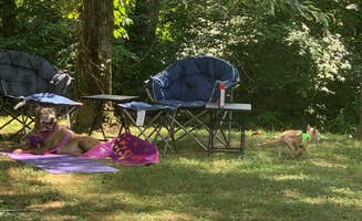 Jacilyn B.'s photo of camping with pets at Up the Creek RV Camp near Knoxville, TN