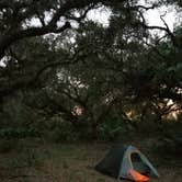 Review photo of Palmetto Ridge Campground — Myakka River State Park by Michael K., April 16, 2018