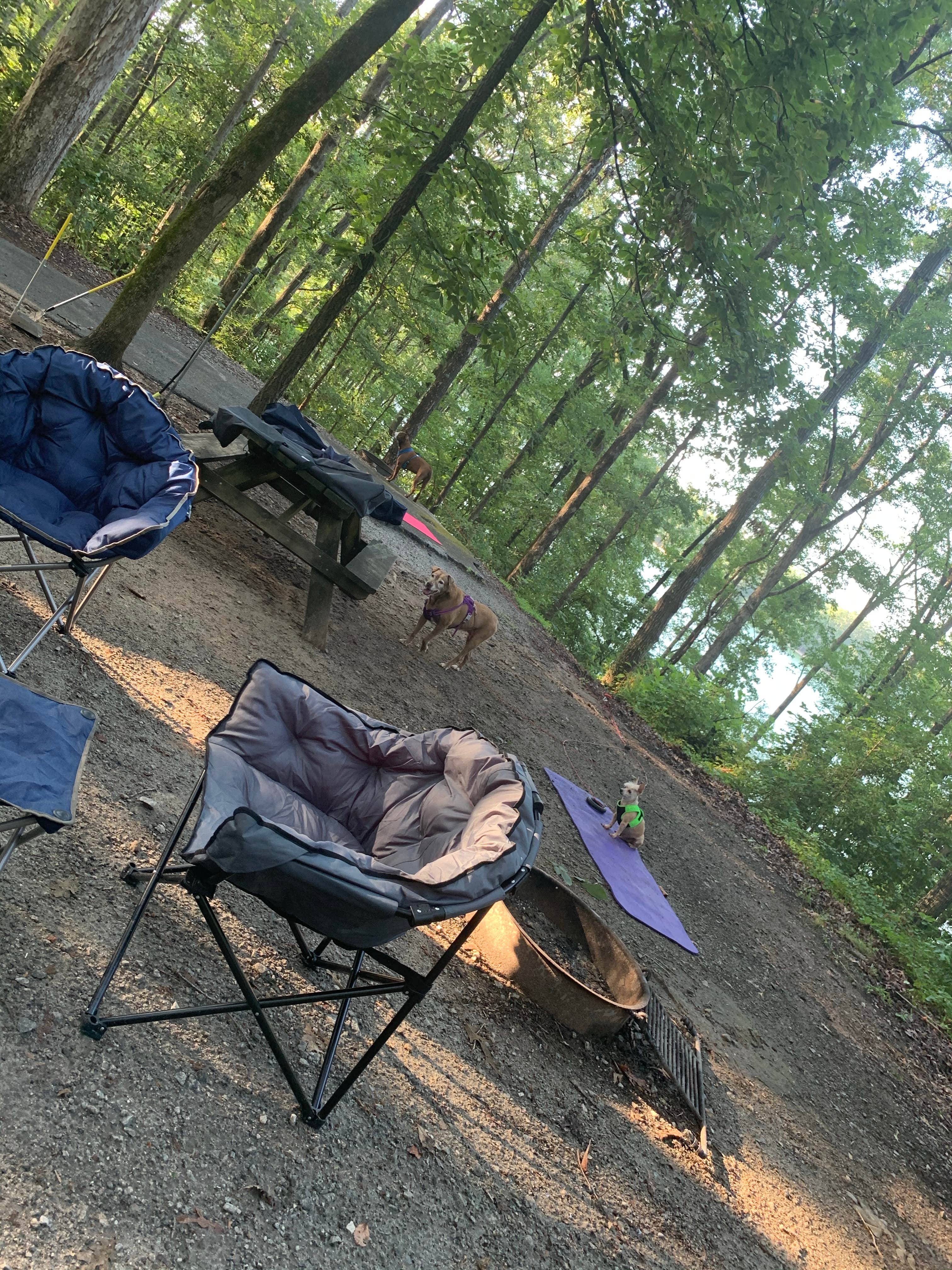 Jacilyn B.'s photo at Lake Hartwell State Park Campground near Westminster, SC