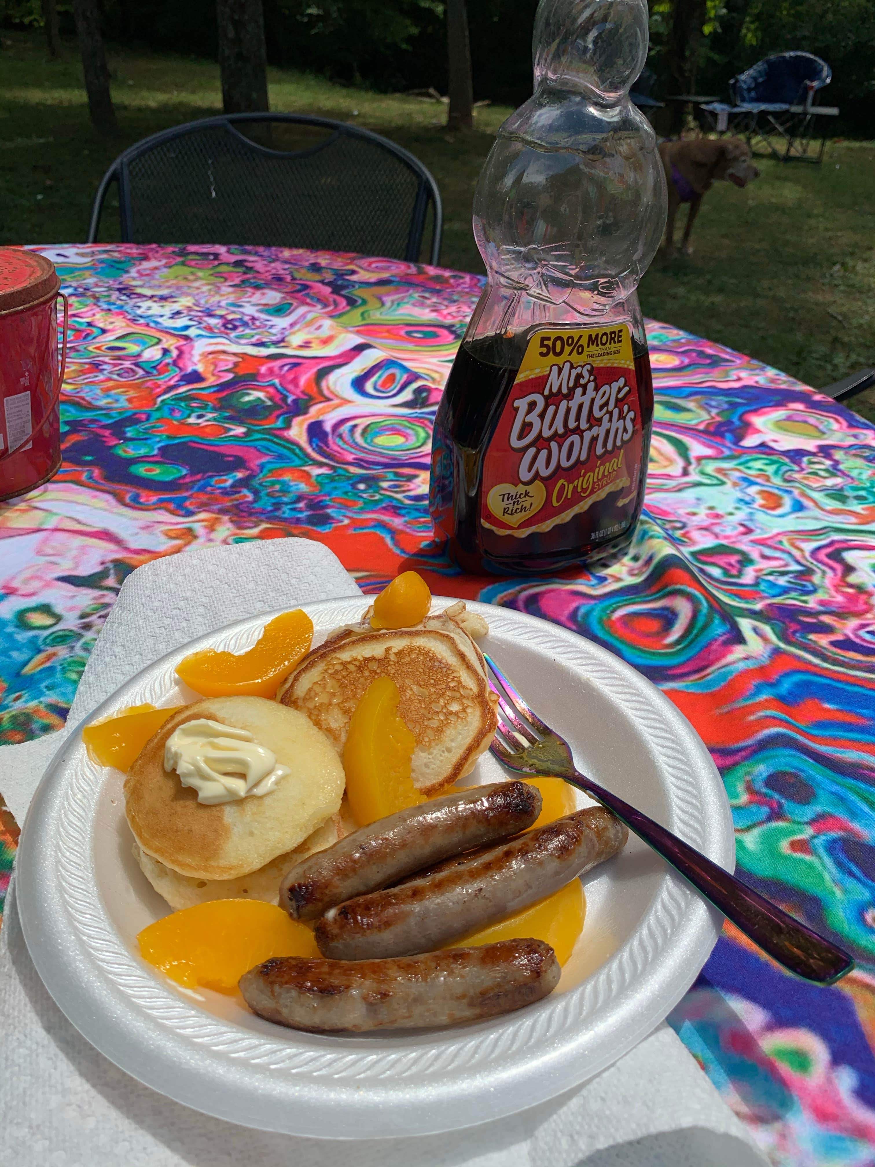 Jacilyn B.'s photo of camping with pets at Up the Creek RV Camp near Gatlinburg, TN