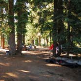 Review photo of Mazama Village Campground — Crater Lake National Park by Johnny G., August 3, 2020