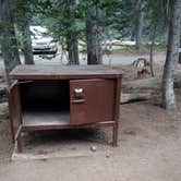 Review photo of Mazama Village Campground — Crater Lake National Park by Johnny G., August 3, 2020
