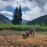 Review photo of Anvil Dispersed Campground- ROAD CLOSED by Katie H., August 3, 2020