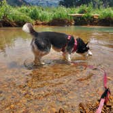 Review photo of Anvil Dispersed Campground- ROAD CLOSED by Katie H., August 3, 2020