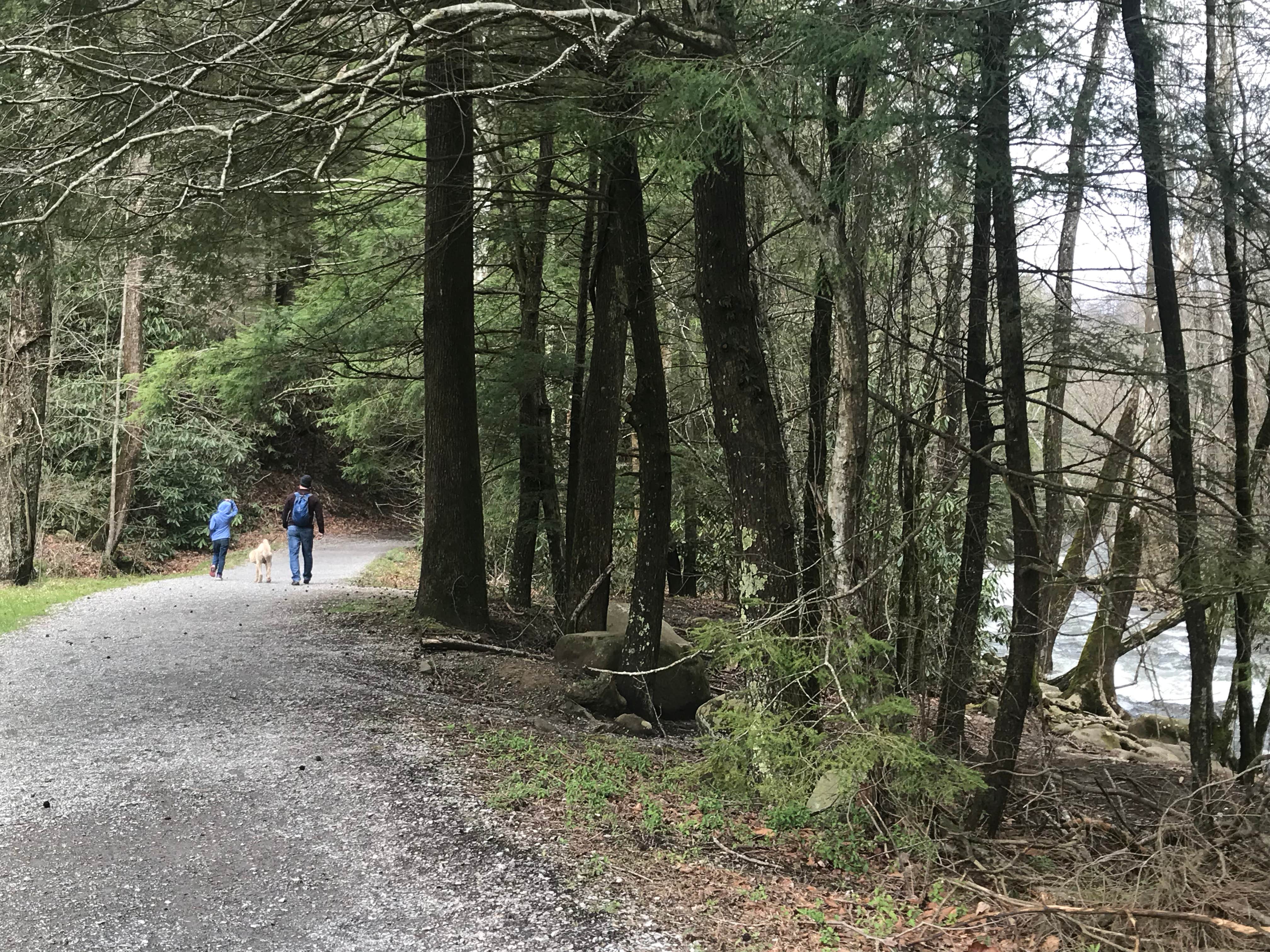 Camper submitted image from Greenbrier Campground - 2