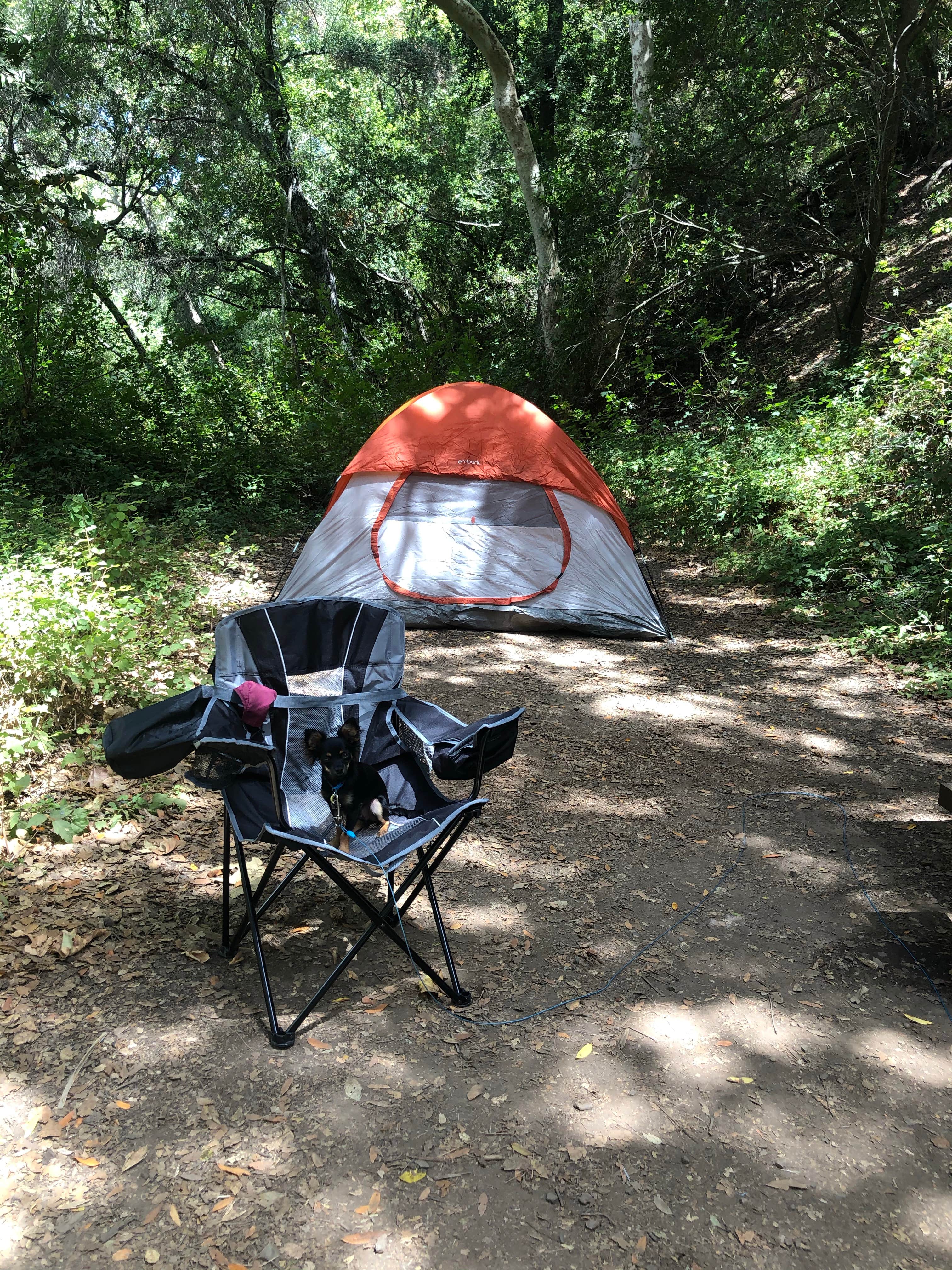 Lulu A.'s photo at Cerro Alto Campground near San Simeon, CA