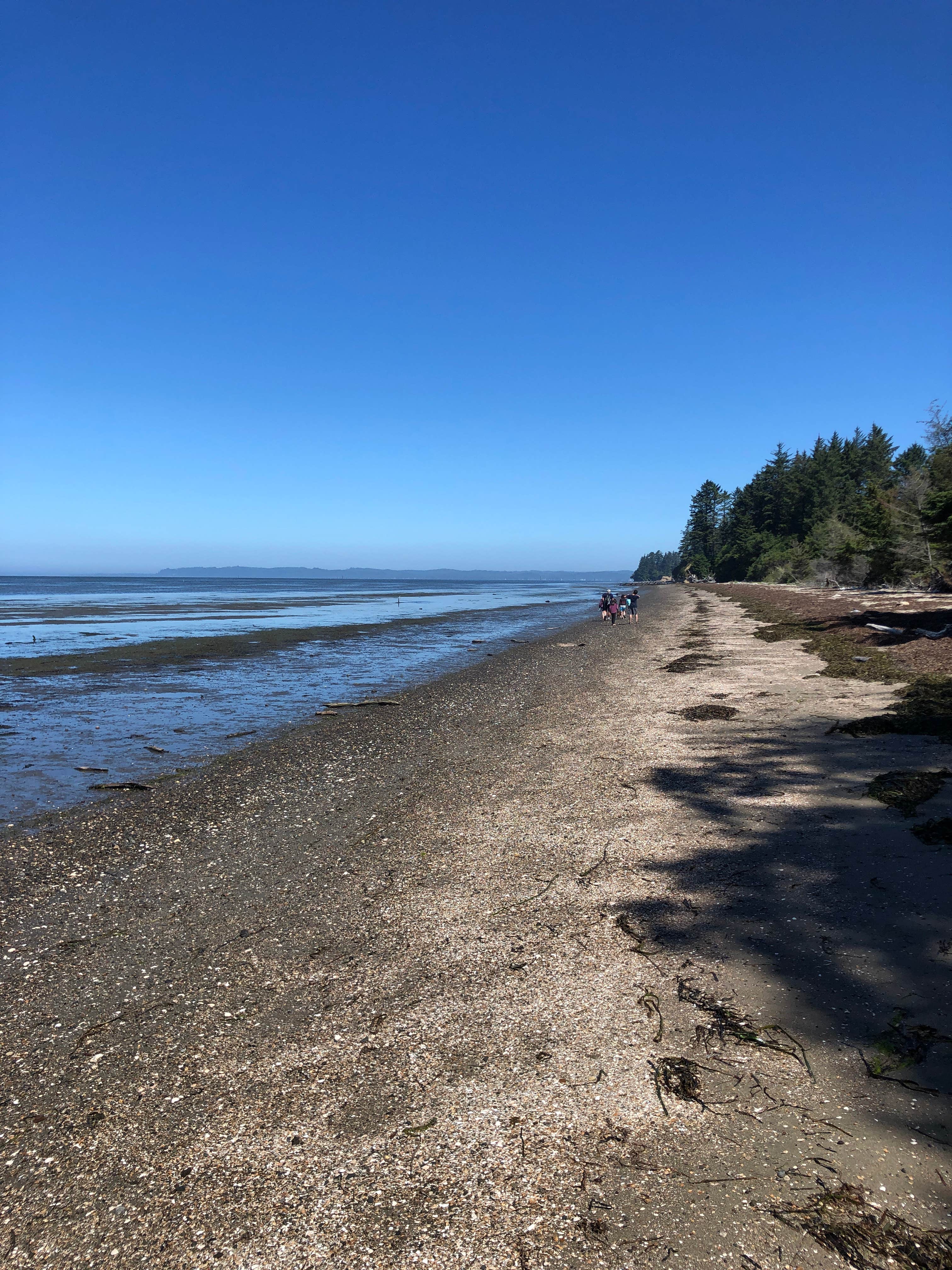 Bay Center / Willapa Bay KOA The Dyrt