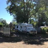 Review photo of Bay Center-Willapa Bay KOA by Robert O., August 3, 2020