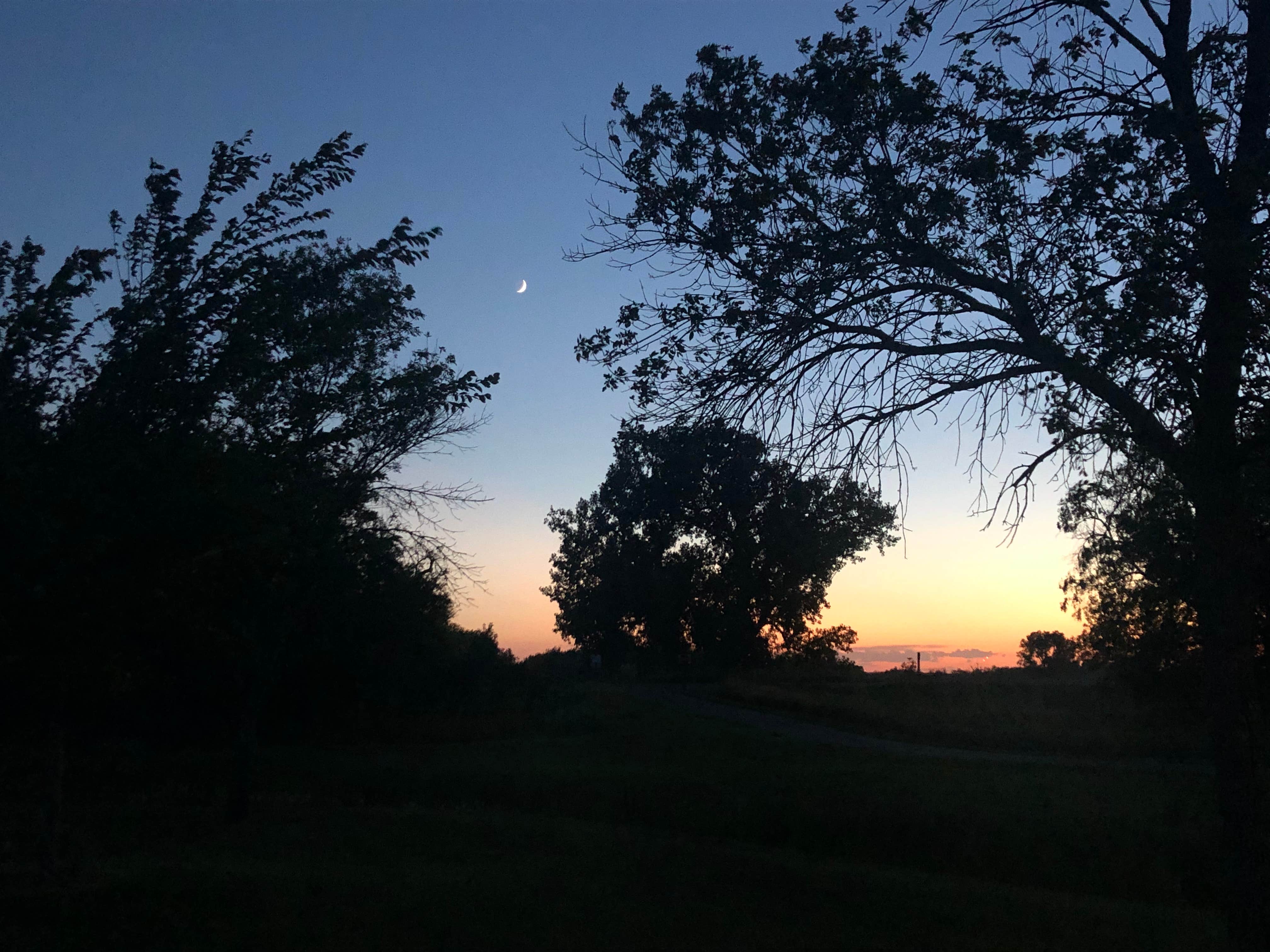 Camper-submitted photo at Farm Island State Recreation Area near Fort Pierre, SD
