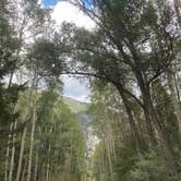 Review photo of Alpine Tunnel Trailhead Dispersed by Courtney G., August 3, 2020