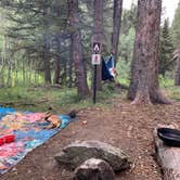 Review photo of Priest Lake Dispersed Camping Area by Matthew K., August 3, 2020