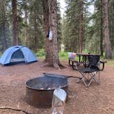 Review photo of Priest Lake Dispersed Camping Area by Matthew K., August 3, 2020