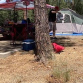 Review photo of White Spar Campground by Yuka M., August 3, 2020