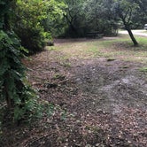 Review photo of First Landing State Park Campground by Ch. A., August 10, 2019