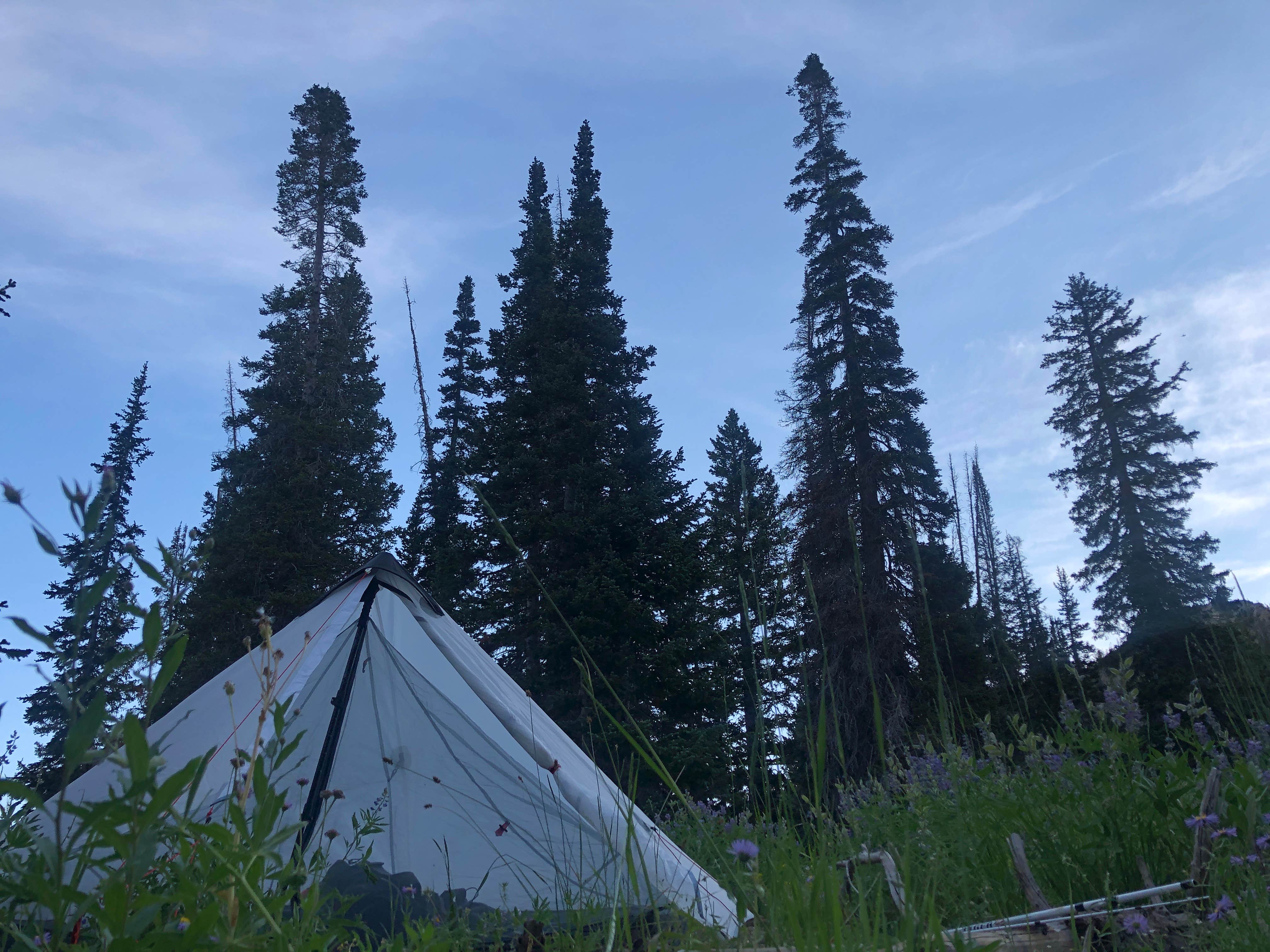 Chloe B.'s photo at Red Pine Lake near Bingham Canyon, UT