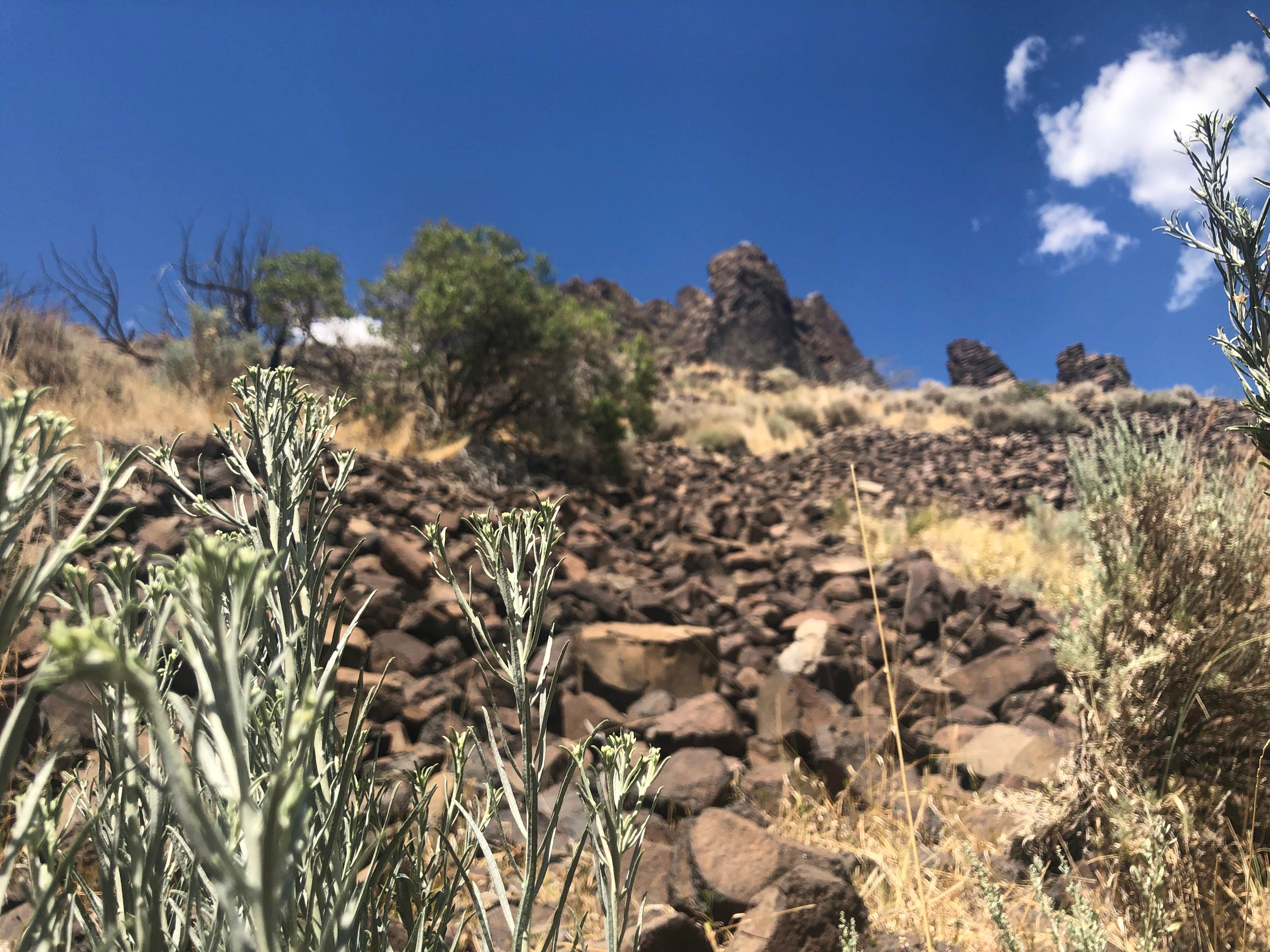 Camper-submitted photo at Paul Bunyon's Woodpile near Eureka, UT