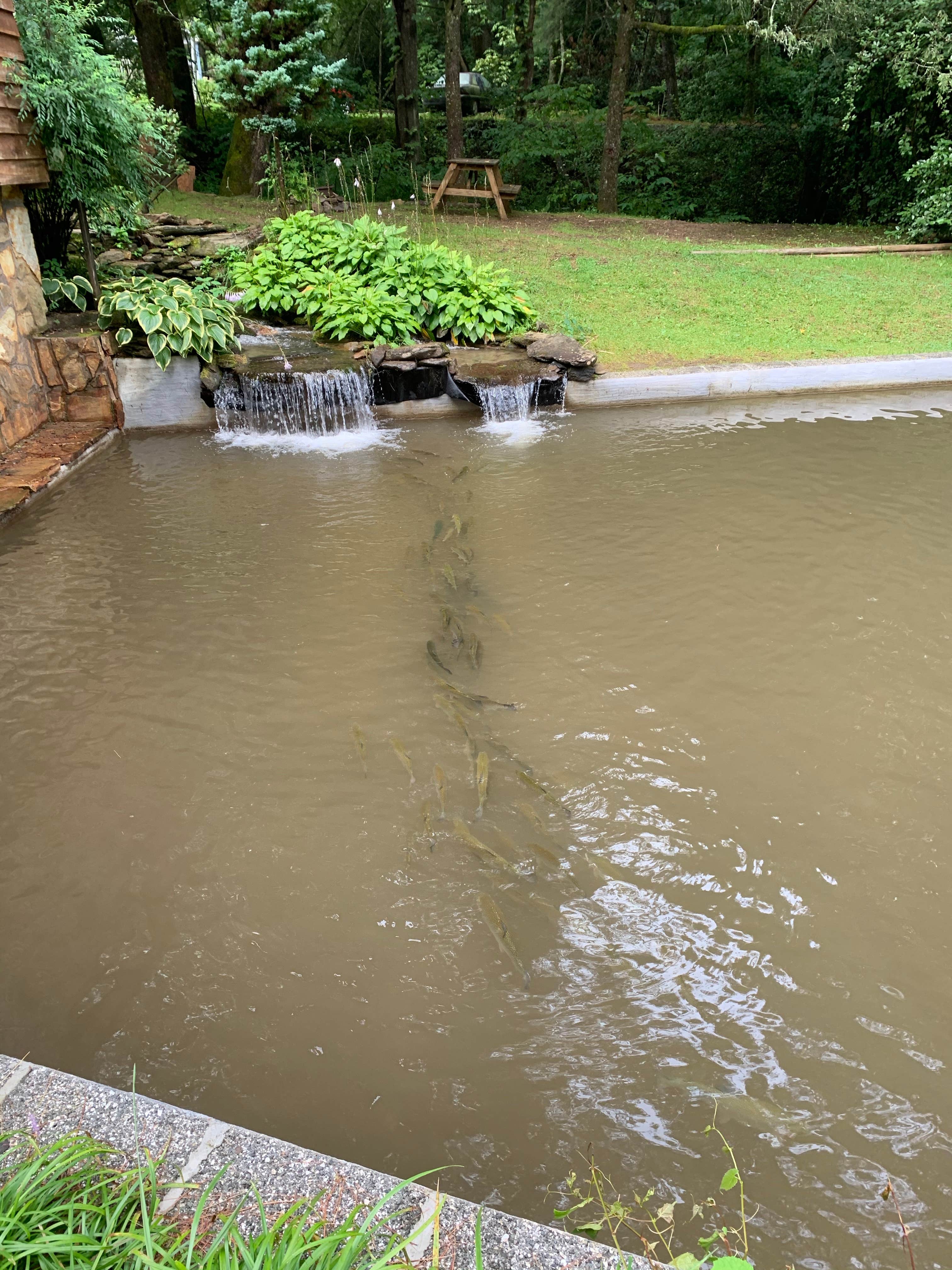 Camper-submitted photo at Kirkland Creek Campground and Cabins near Bryson City, NC