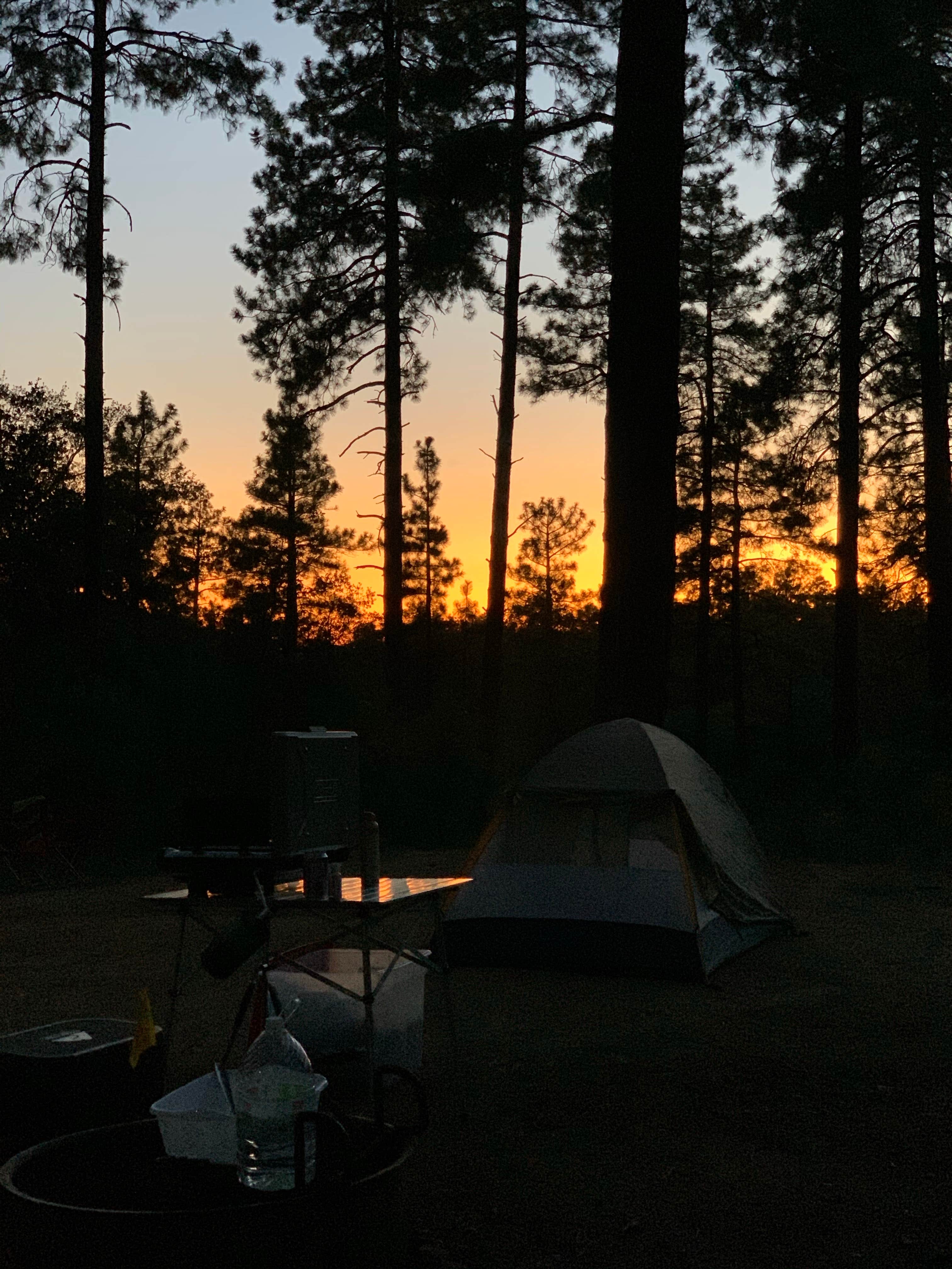 Camper-submitted photo at FDR80 Sundance Road Dispersed Camping near Mayer, AZ