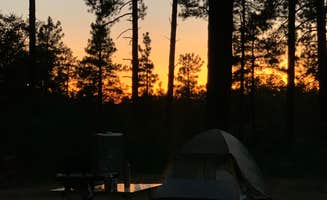 Jeannie C.'s photo at FDR80 Sundance Road Dispersed Camping near Mayer, AZ