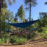 Review photo of FDR80 Sundance Road Dispersed Camping by Jeannie C., August 3, 2020