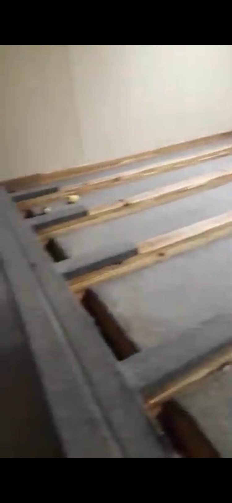 Camping near Ordway-Swisher Biological Station: North Florida Christian Camp, Keystone Heights, Florida