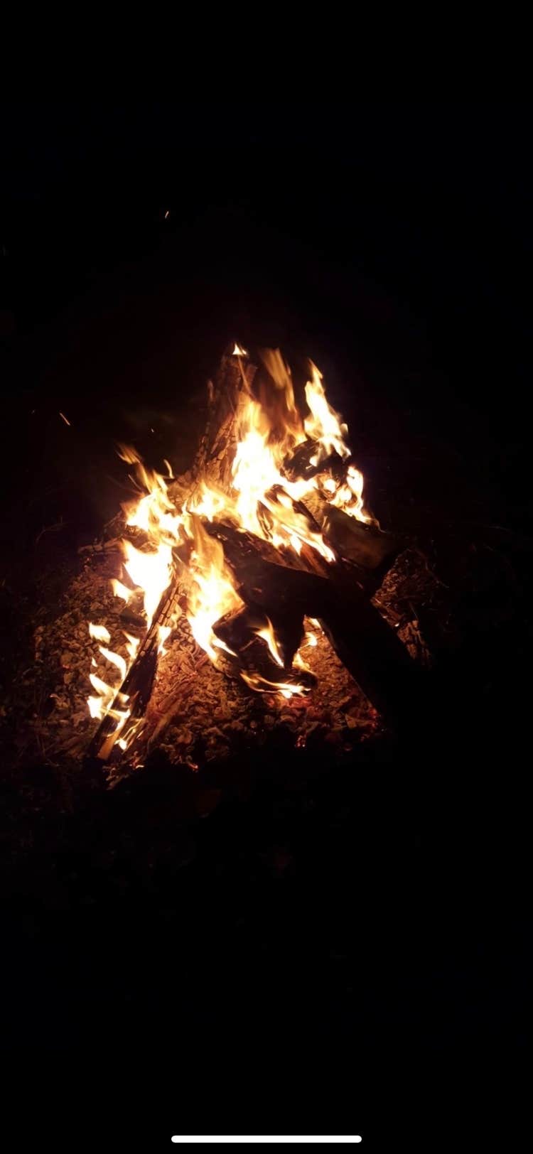 Camper-submitted photo at North Florida Christian Camp near Keystone Heights, FL