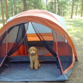 Review photo of Colorado Campground by Sarah F., August 3, 2020