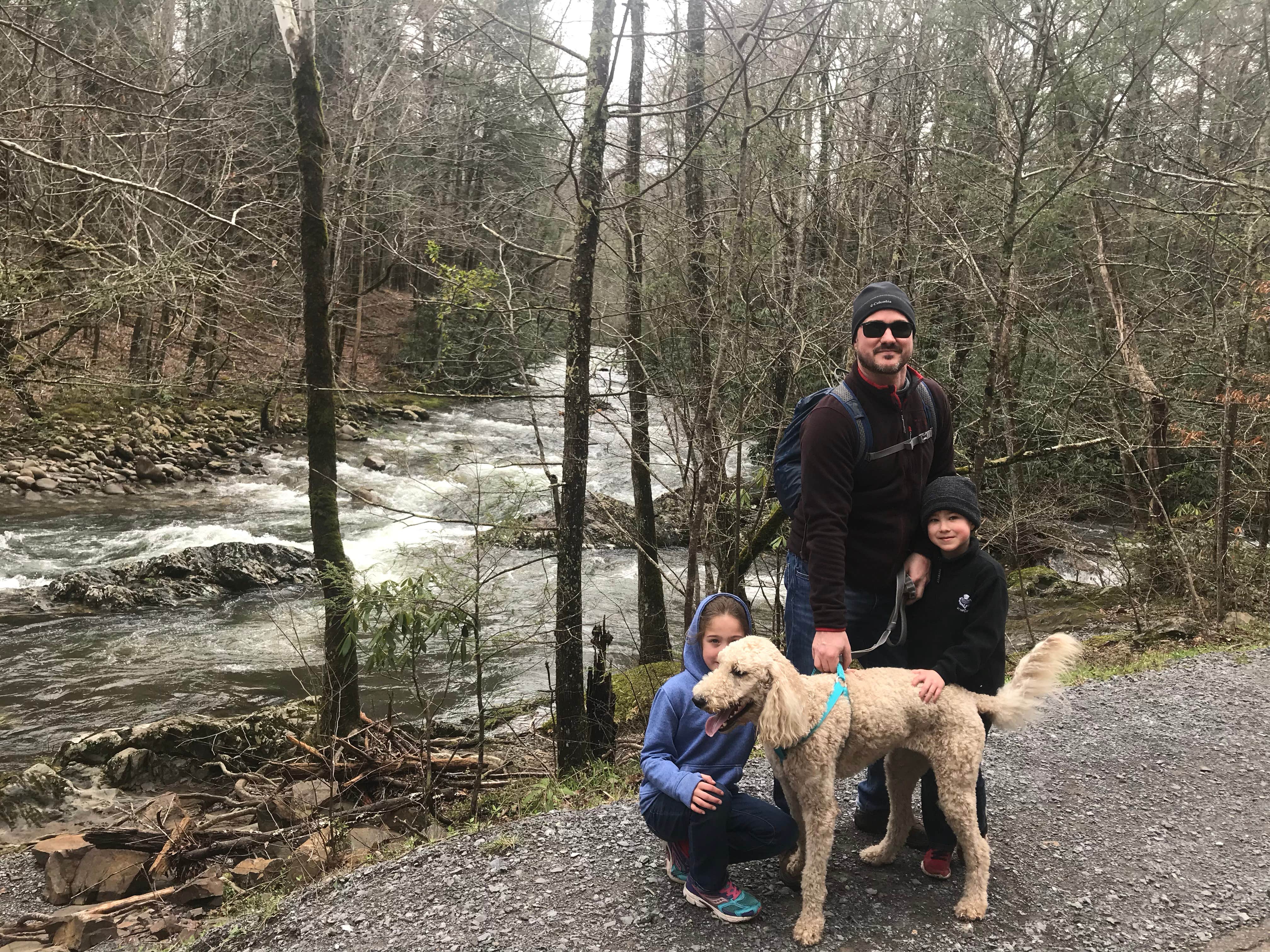Erin H.'s photo of camping with pets at Greenbrier Campground near Sevierville, TN