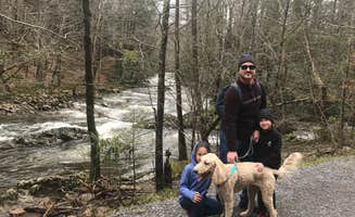 Erin H.'s photo of camping with pets at Greenbrier Campground near Cosby, TN