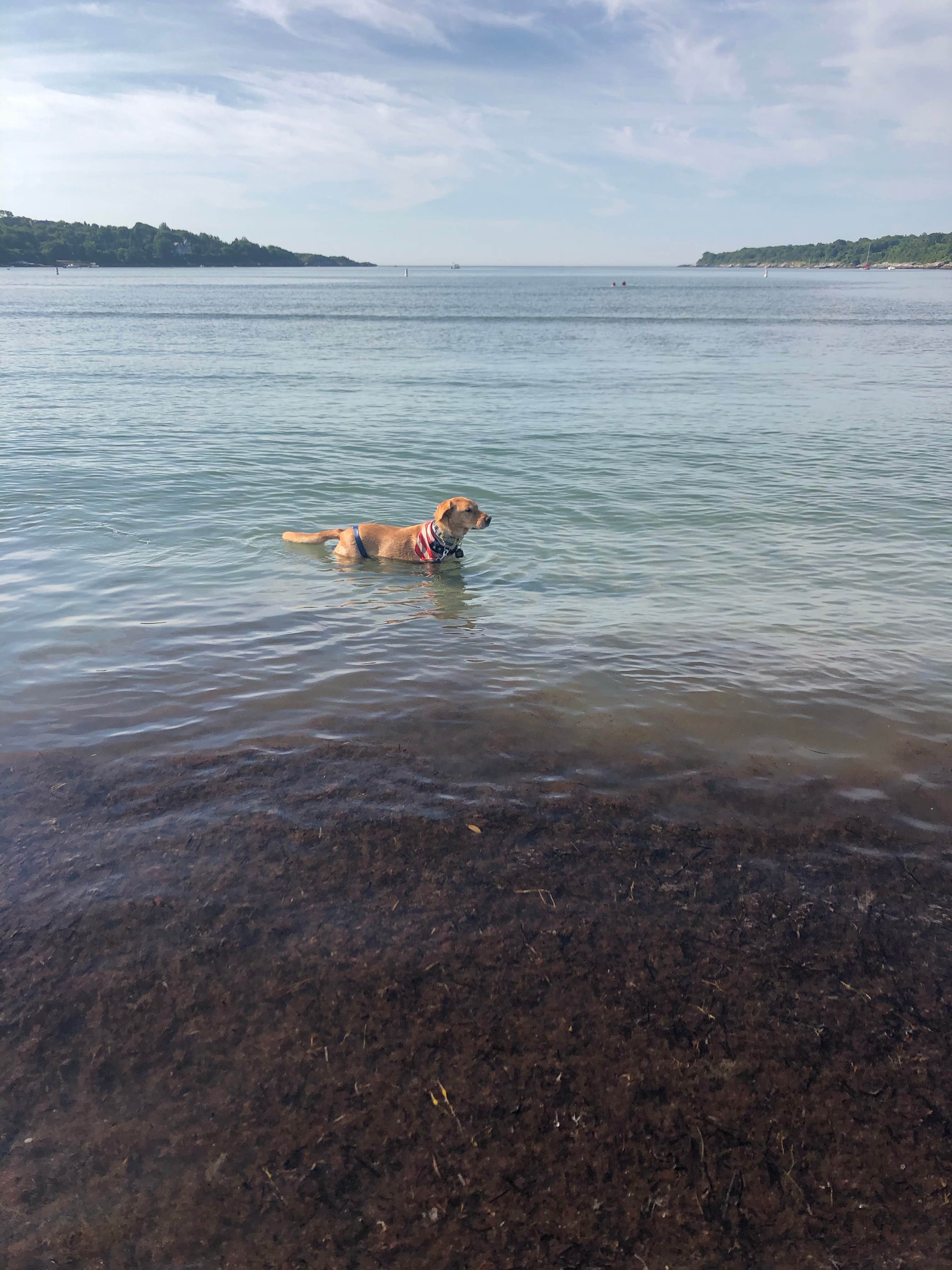 Camper-submitted photo at Fort Getty Campground near Portsmouth, RI
