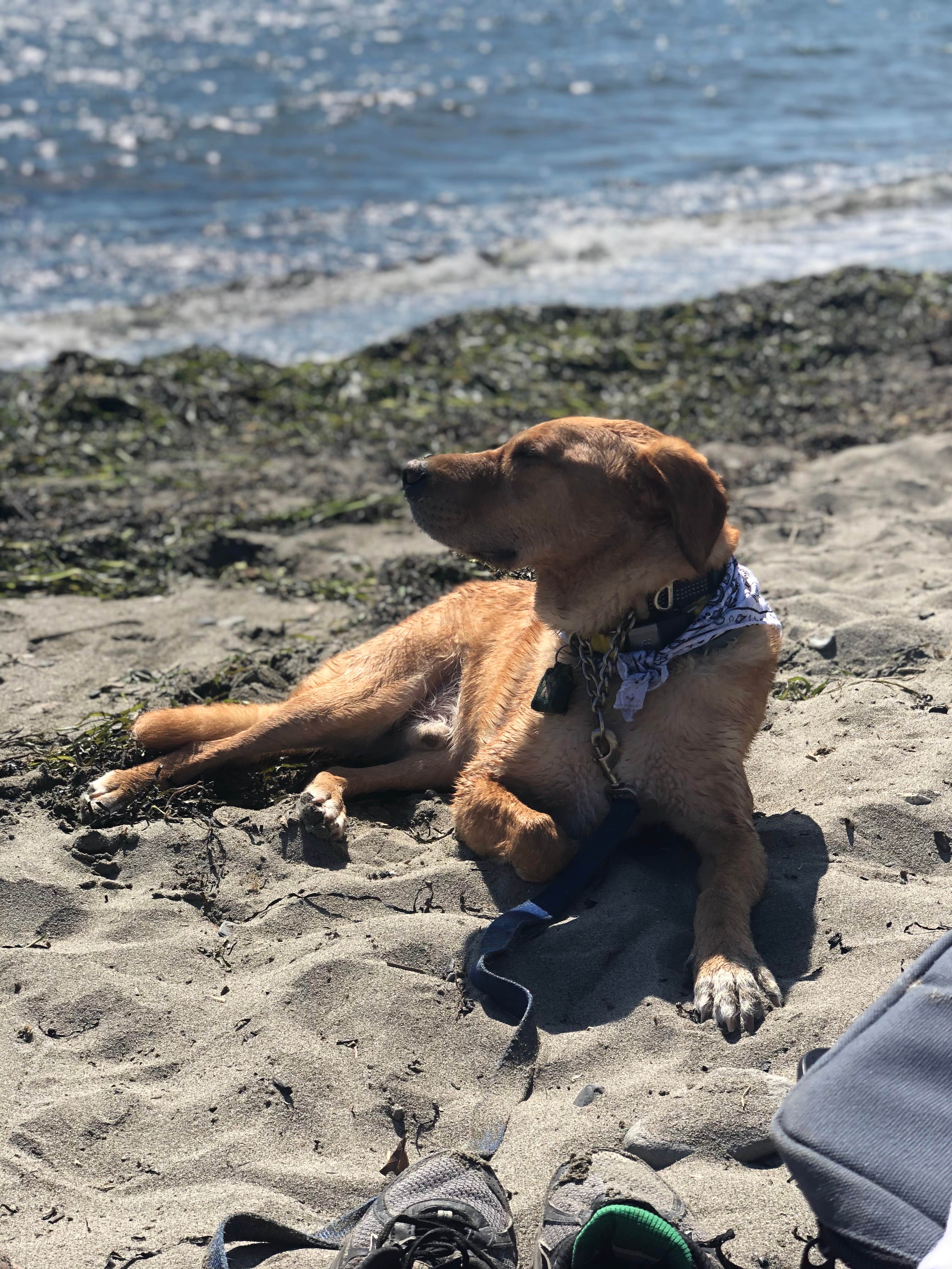Camper-submitted photo at Fort Getty Campground near Portsmouth, RI