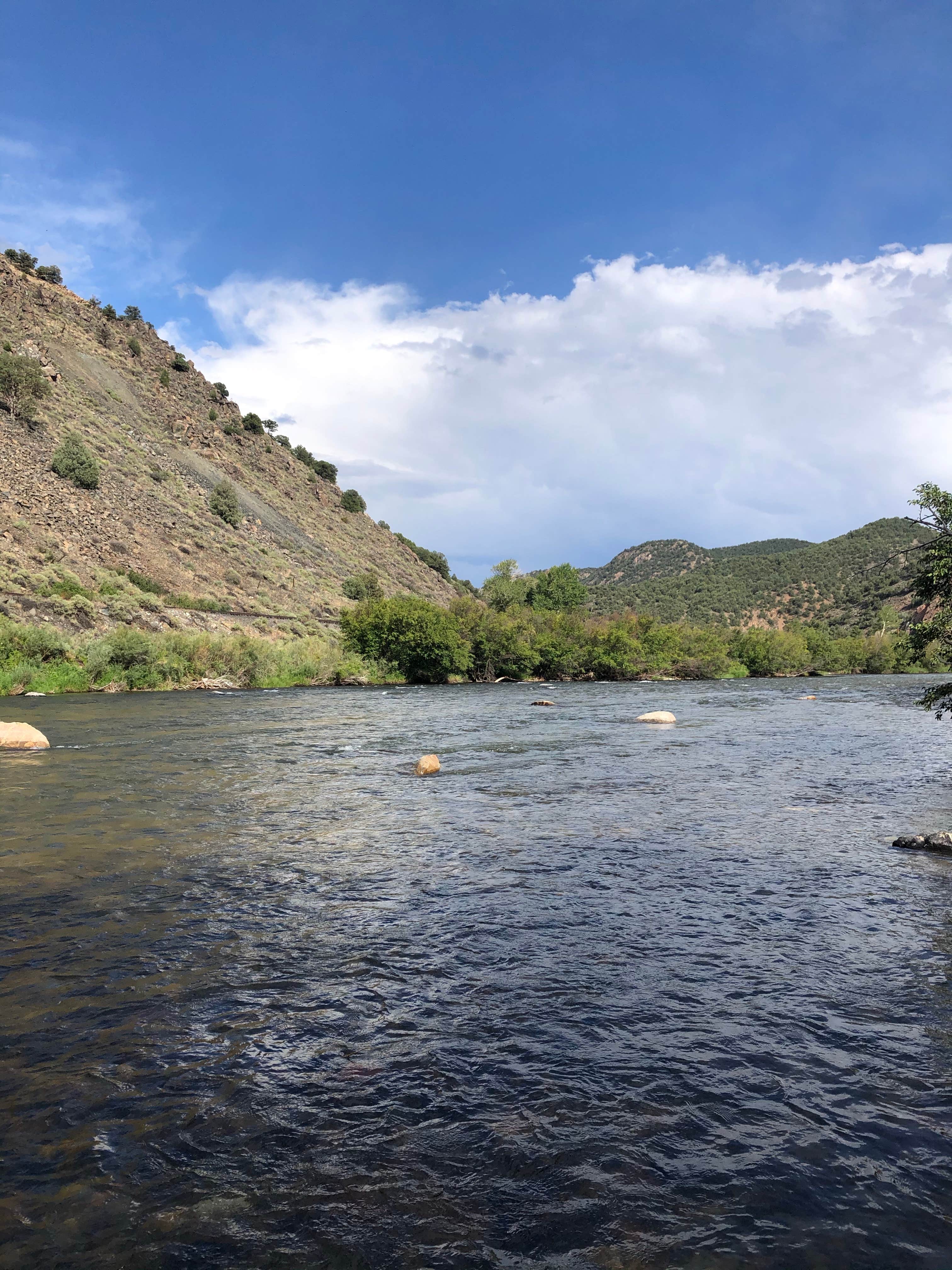 Camper submitted image from Salida East - Arkansas Headwaters Recreation Area - 4