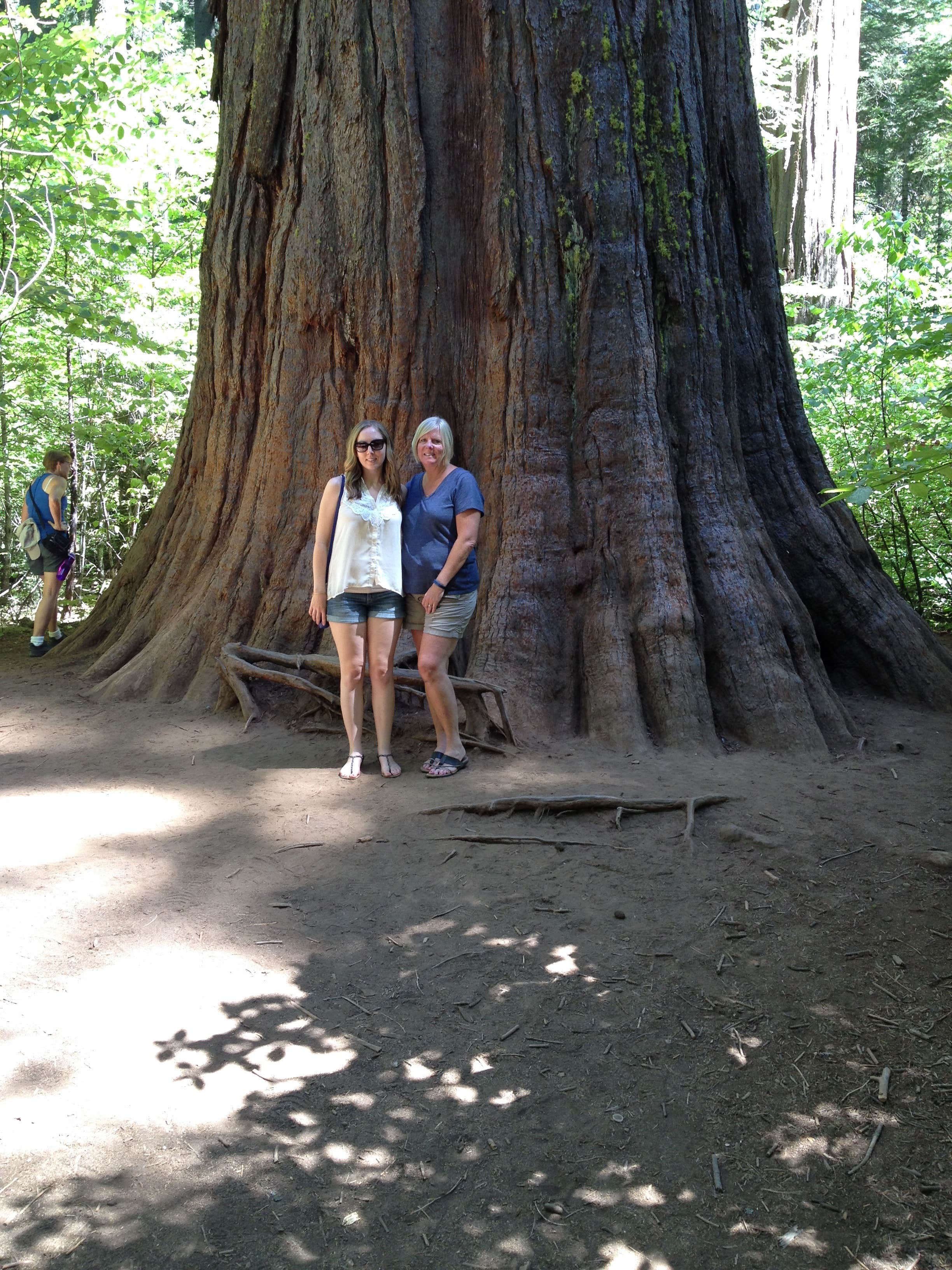 Camper submitted image from North Grove Campground — Calaveras Big Trees State Park - 3
