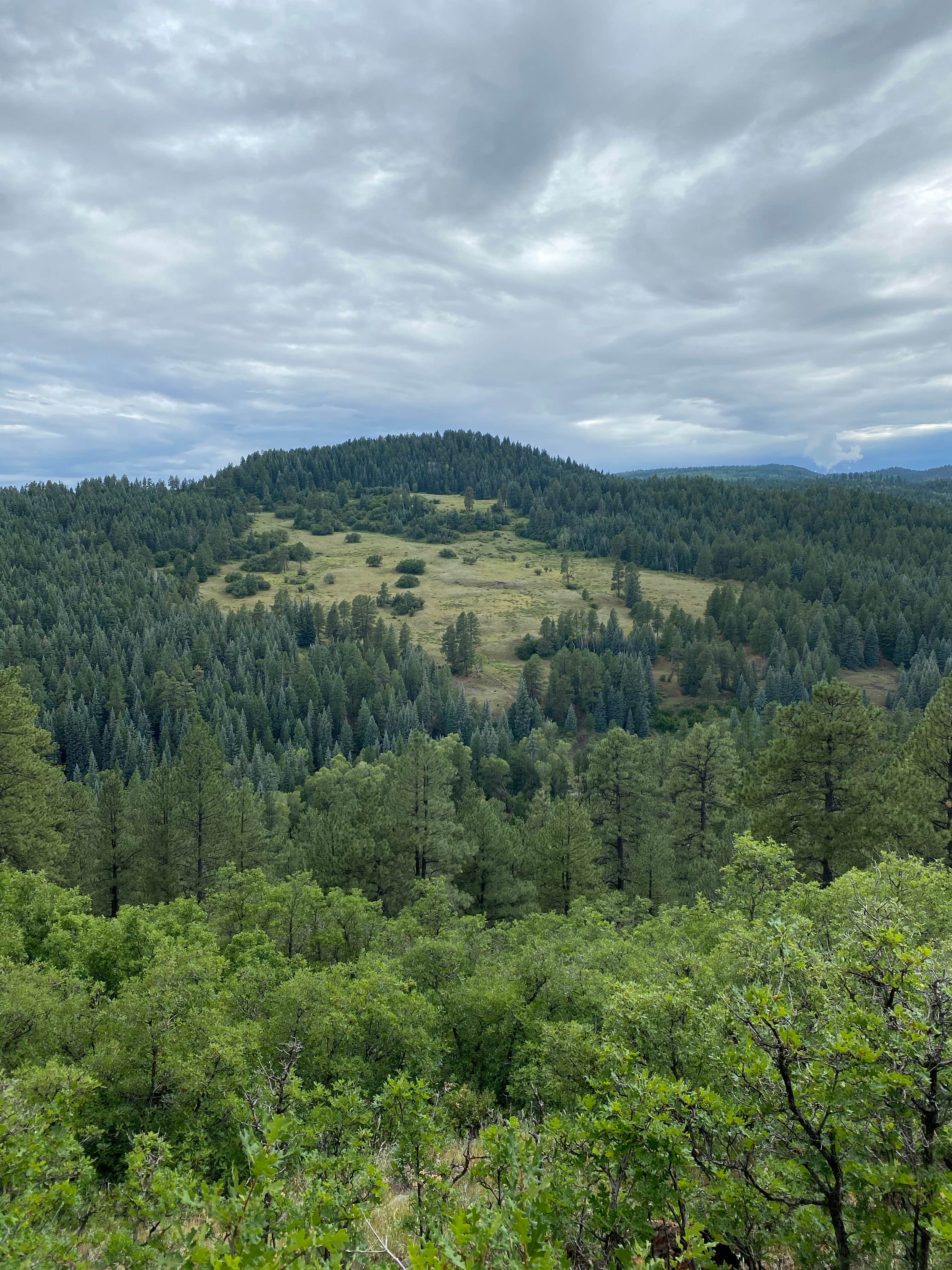 Camper-submitted photo at Turkey Creek Road near Pagosa Springs, CO