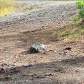 Review photo of Turkey Creek Road by Brandon F., August 3, 2020