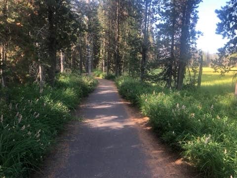 Camper submitted image from Broken Arrow Campground - 2