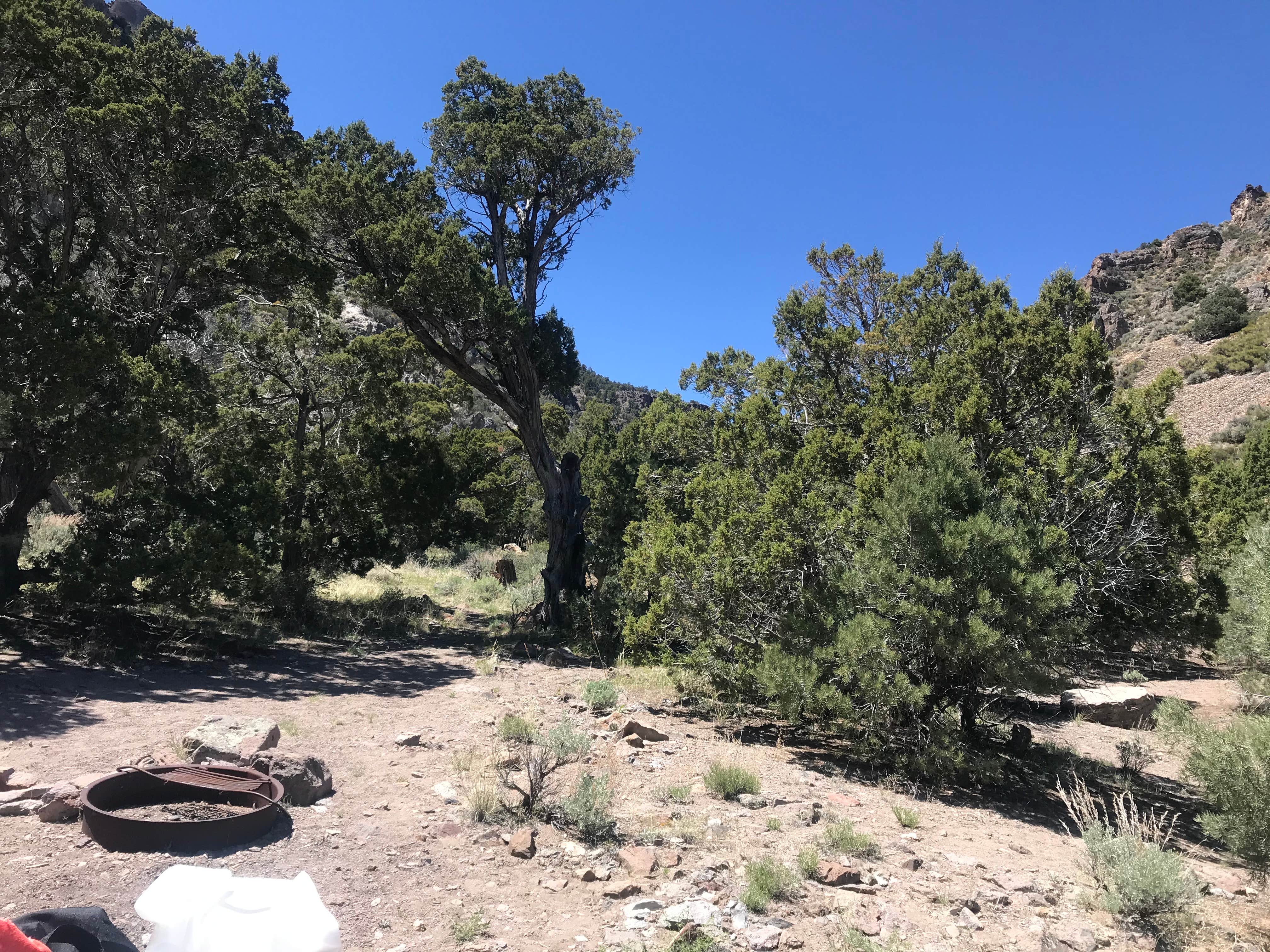 Camper-submitted photo at Meadow Valley Campground near Panaca, NV
