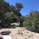 Review photo of Meadow Valley Campground by Rissa P., August 4, 2020