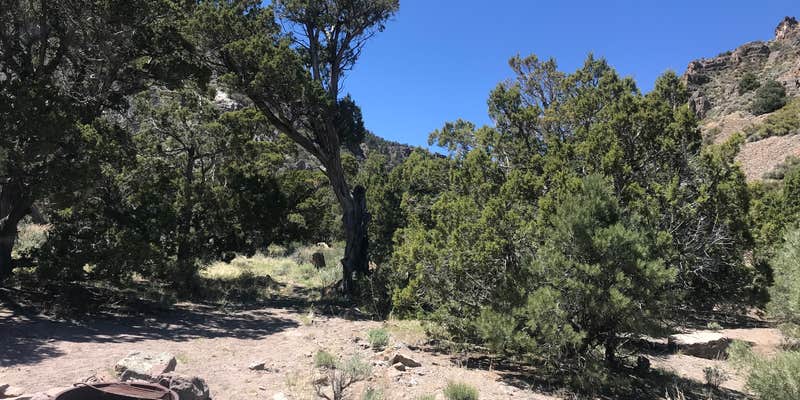 Camper submitted image from Meadow Valley Campground