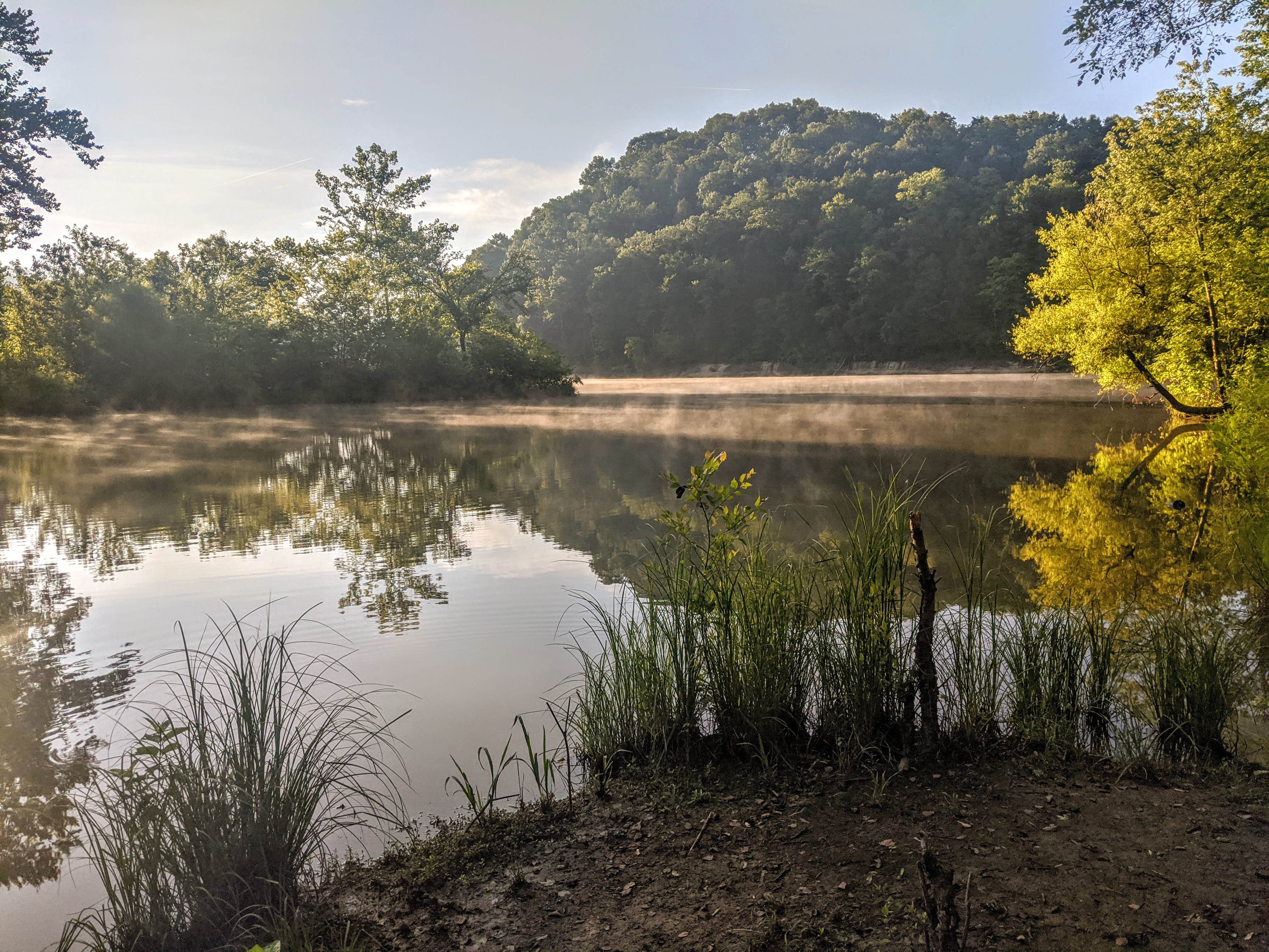 Shari  G.'s photo of a dispersed camping area at Paragon Dispersed Camping Area near Irvine, KY