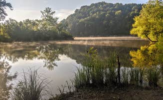 Shari  G.'s photo of a dispersed camping area at Paragon Dispersed Camping Area near Prestonsburg, KY
