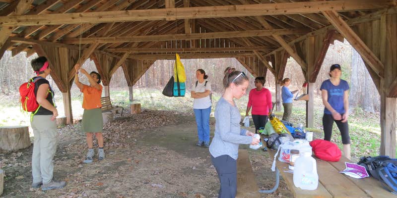 Camper submitted image from MST Section 23 Falls Lake Camping