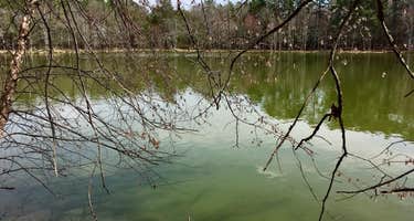 MST Section 23 Falls Lake