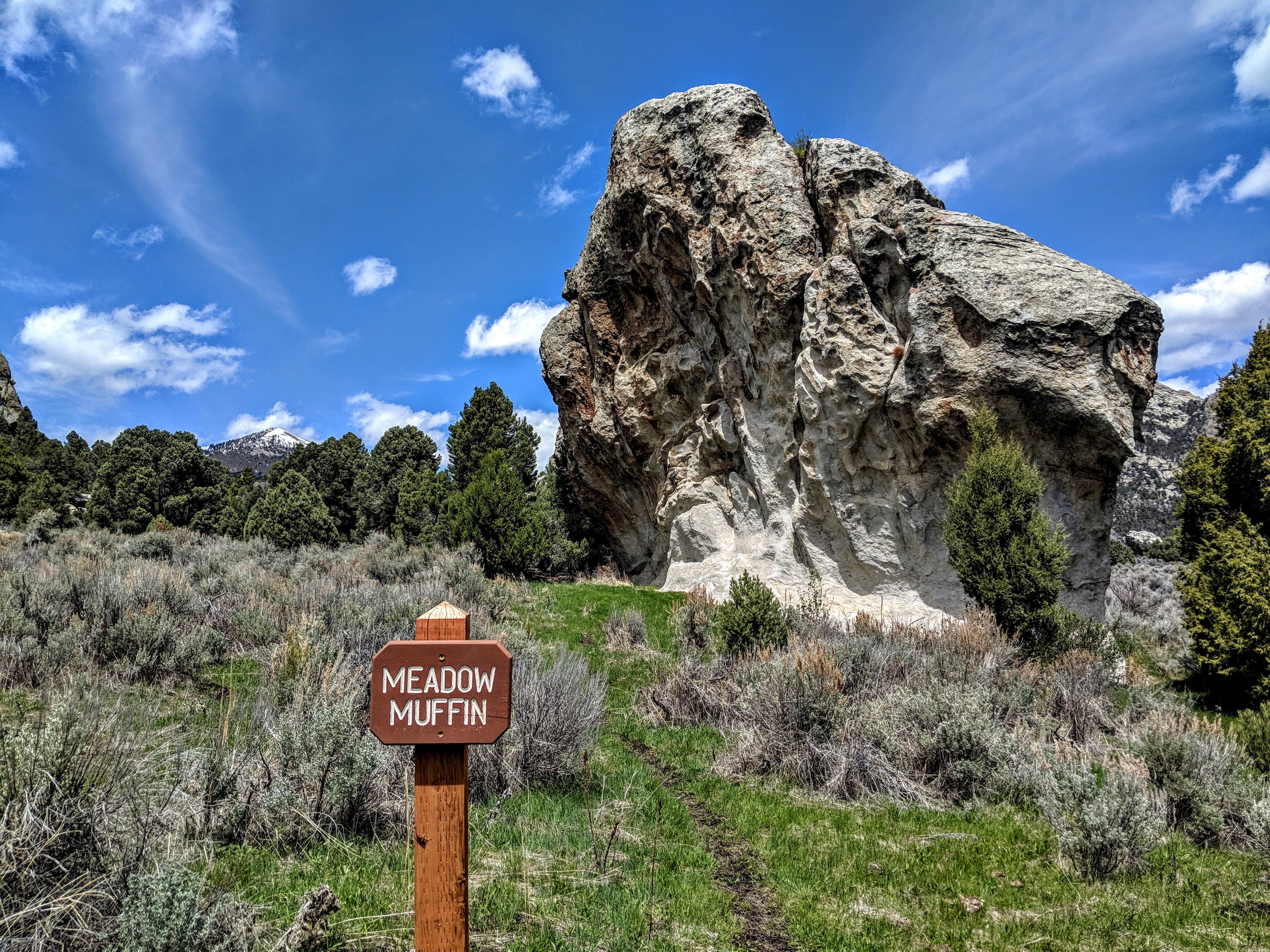 Camper submitted image from City of Rocks Campground — City of Rocks Natural Reserve - 5
