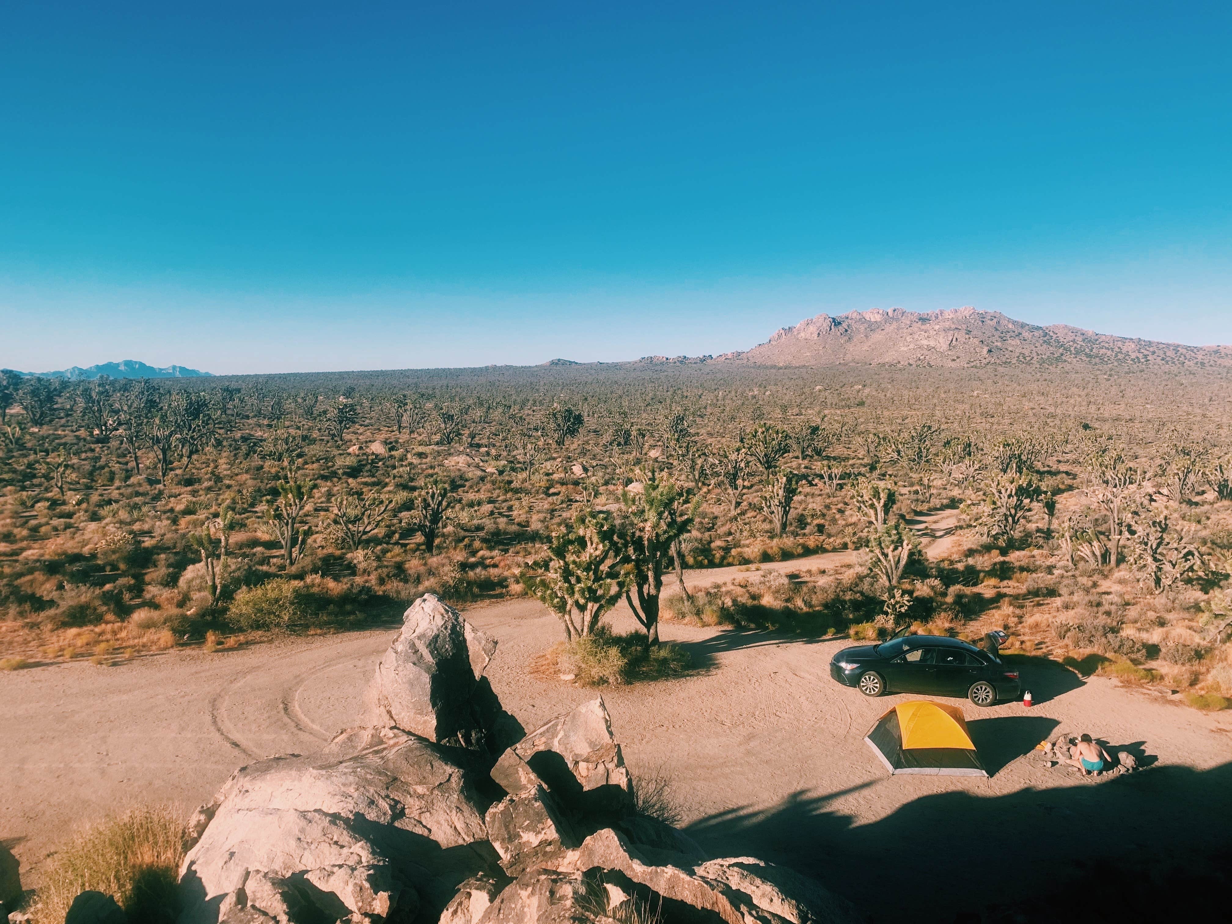 Nora S.'s photo at Mojave Cross Dispersed — Mojave National Preserve near Nipton, CA