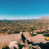 Review photo of Mojave Cross Dispersed — Mojave National Preserve by Nora S., August 3, 2020