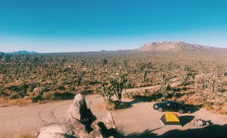 Nora S.'s photo at Mojave Cross Dispersed — Mojave National Preserve near Baker, CA