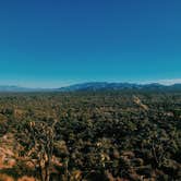 Review photo of Mojave Cross Dispersed — Mojave National Preserve by Nora S., August 3, 2020