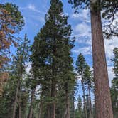 Review photo of Bear Canyon Lake and Camping Area by Matt H., August 4, 2020